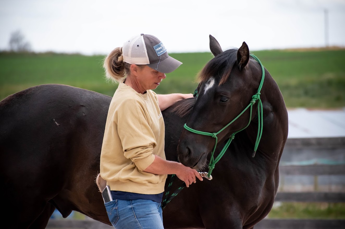 Stacey working calmly with a horse