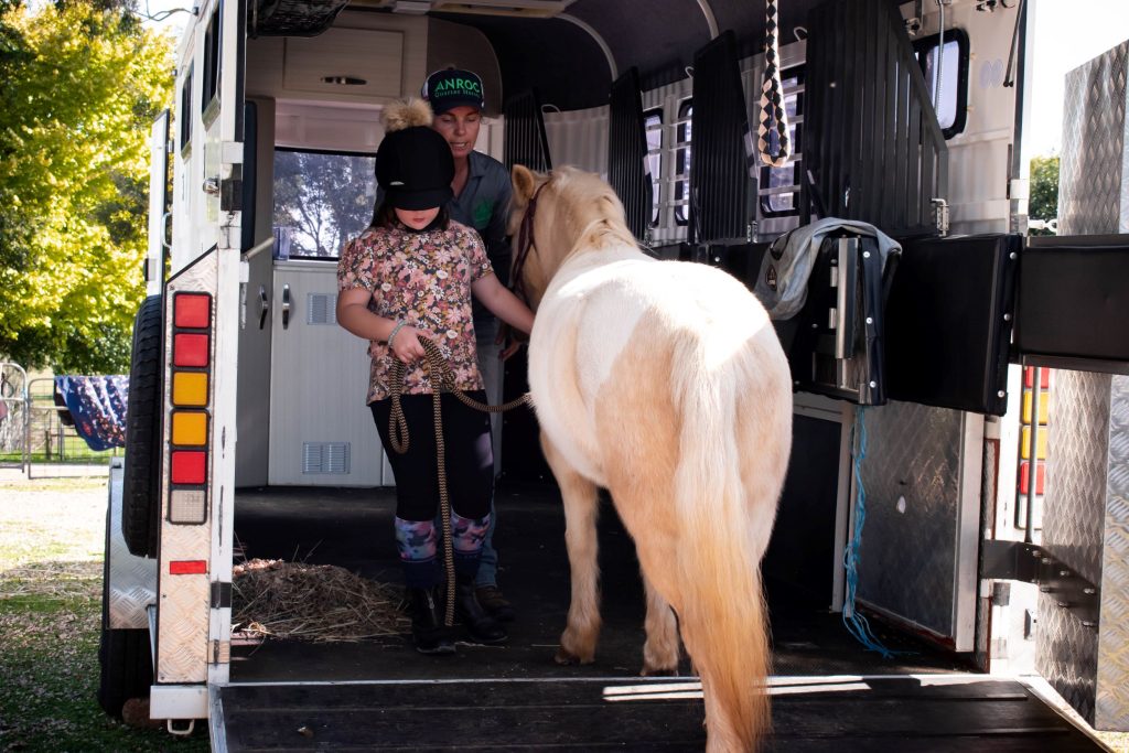 Equine-assisted self-development in Tasmania: a foal connecting gently with a person